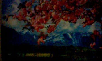 paisajes