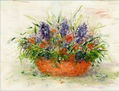 Centro Lilas