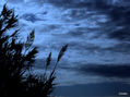 CIELO AZUL
