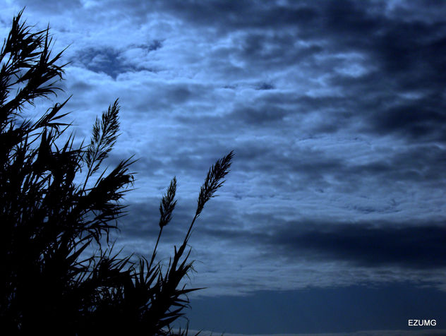 CIELO AZUL
