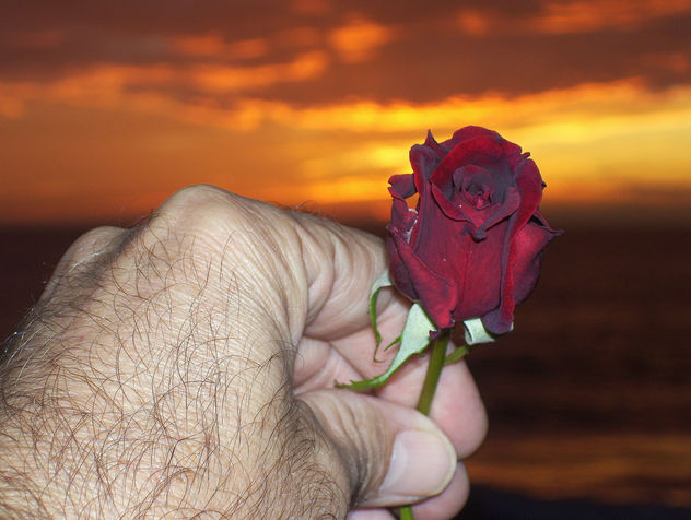 TE LA REGALO