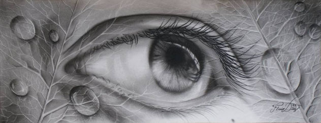 la mirada del pasado VI