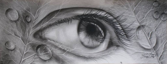 la mirada del pasado VI Charcoal