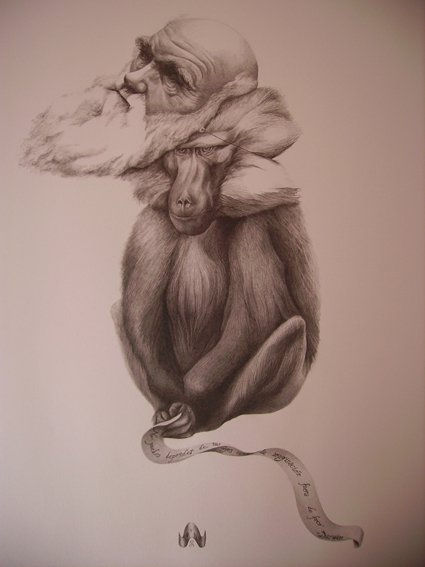 EVOLUCIÓN