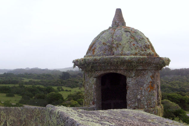 el color de la torre 