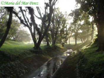 El camino de la vida