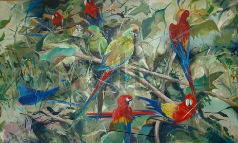 tropicalia