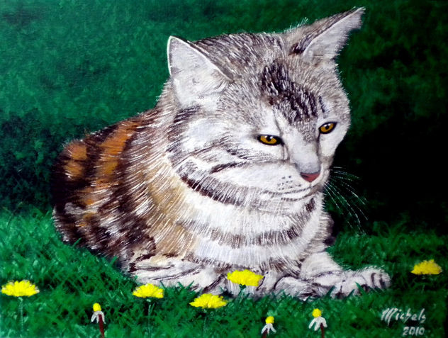 A cat,eine Katze,un chat