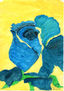 Rosa azul