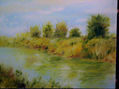 Arroyo