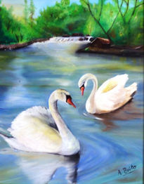 Dos cisnes