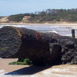 uruguay&natural/joseloliver thumbnail 1