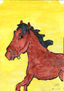Cabeza caballo