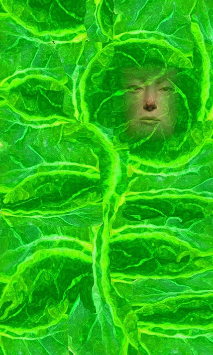 El verde de las hojas