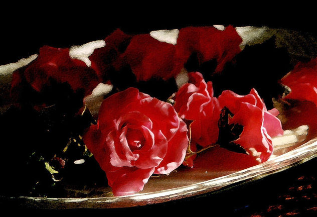 Rosas  que no son rosas