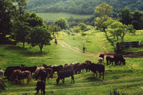 Estancia San Javier