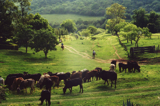 Estancia San Javier 