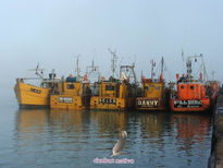 Barco y Neblina