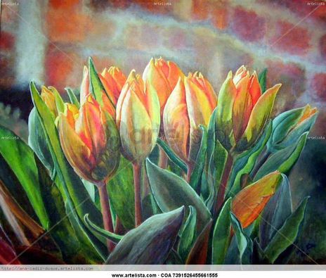 Tulipanes.