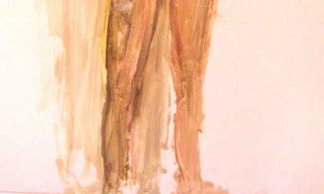 Pintura Serie Aguadas