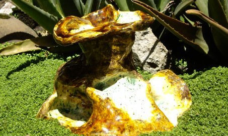 hongos y demas