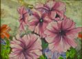 Petunias de mi jardin