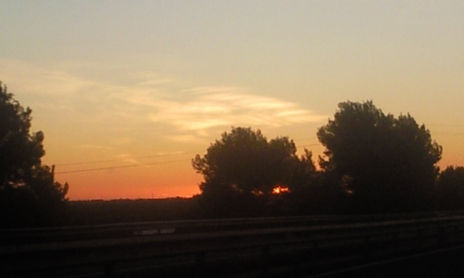 Vistas