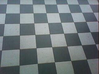 BLANCO Y GRIS