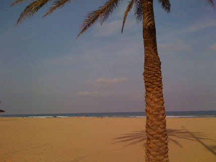 Playa gandia