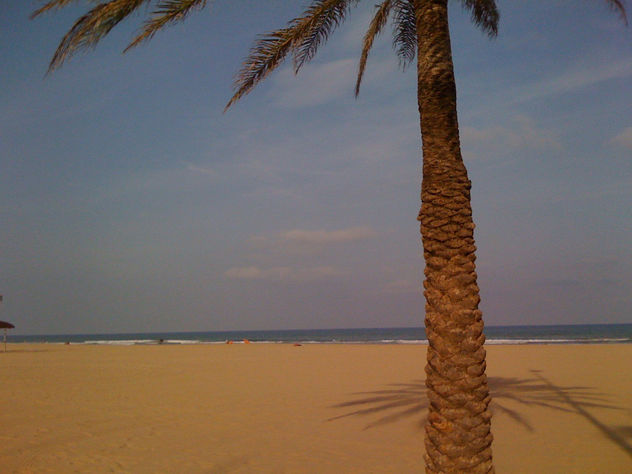 playa gandia