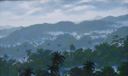 Lluvias y Neblinas