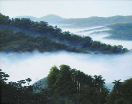 Sumido en la niebla