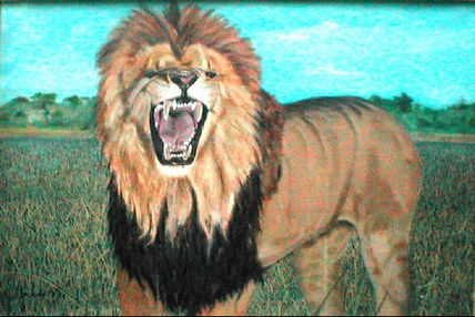 Africa,Leon
