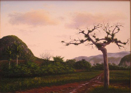Camino en Ancon con Ceiba, 50x 70 cm, 2006.