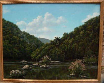 Rio Toa (Reflejos), 80x100 cm, 2007. 