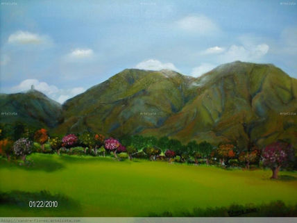 El Avila actual