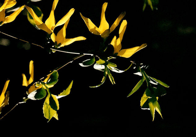 Simpleza Naturaleza Color (Química)