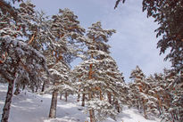 Valle  del Lozoya