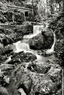 Molino con cascada