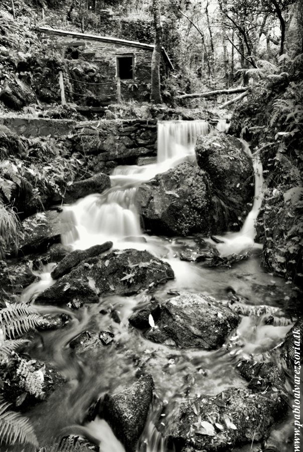 MOLINO CON CASCADA