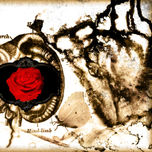 rarefatto thumbnail 2