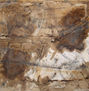 Falla SUCRO Pieza nº-50