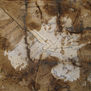 Falla SUCRO Pieza nº-52