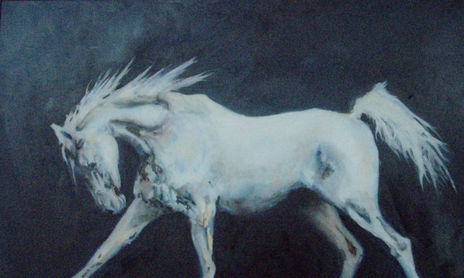 caballos