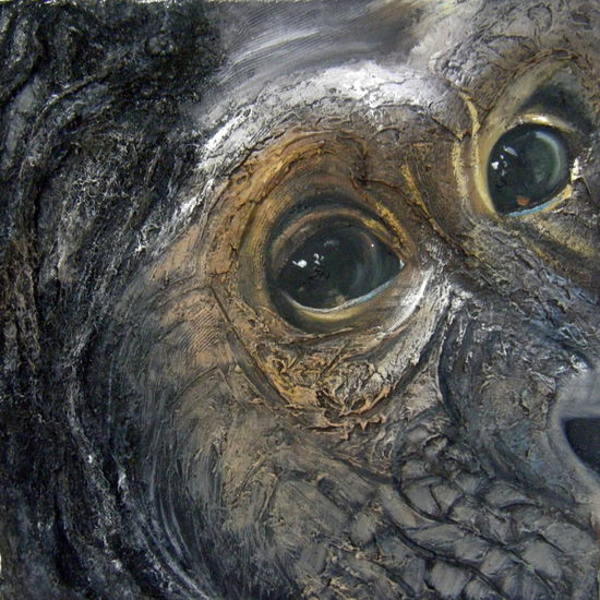 Mirada de antecesor humano Oil Canvas Animals