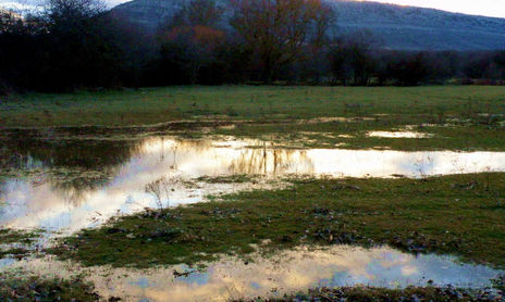 Soria_