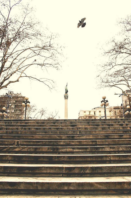 La plaza