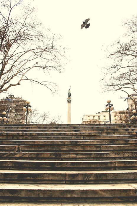 La plaza