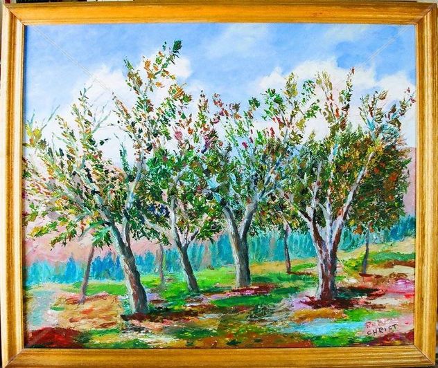 grupo de arboles