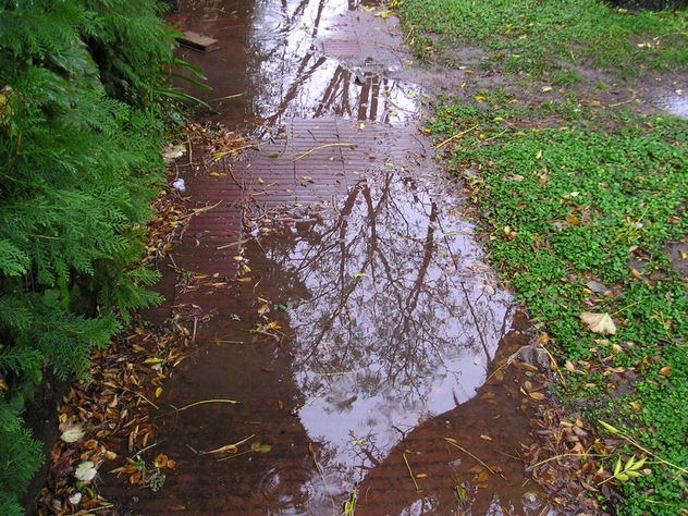 21 julio 2007